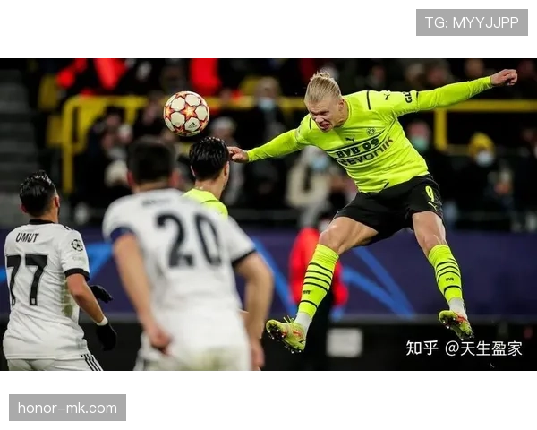 贝西克塔斯新赛季竞争力显著提升，前景备受关注